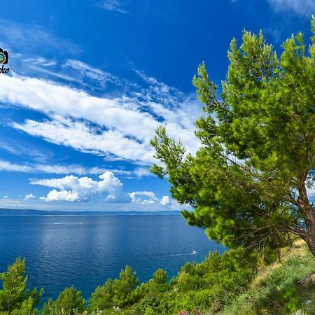 Vila Maslina Apartments Mit Pool Und Garten Nahe Am Strand Tučepi المظهر الخارجي الصورة