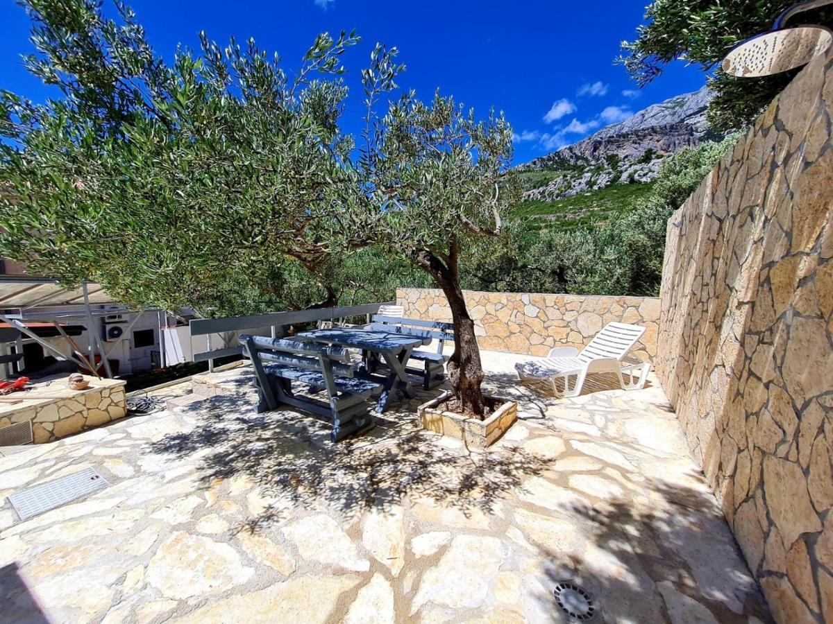 Vila Maslina Apartments Mit Pool Und Garten Nahe Am Strand Tučepi المظهر الخارجي الصورة